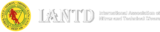 Iantd Logo Transp V3