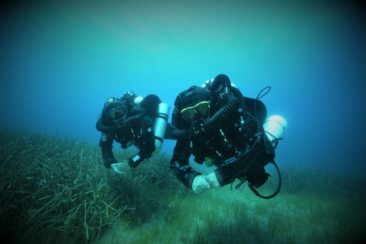 Rebreather